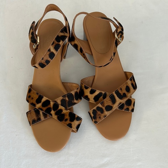 J. Crew Factory Leopard Print Sandals - Picture 2 of 5